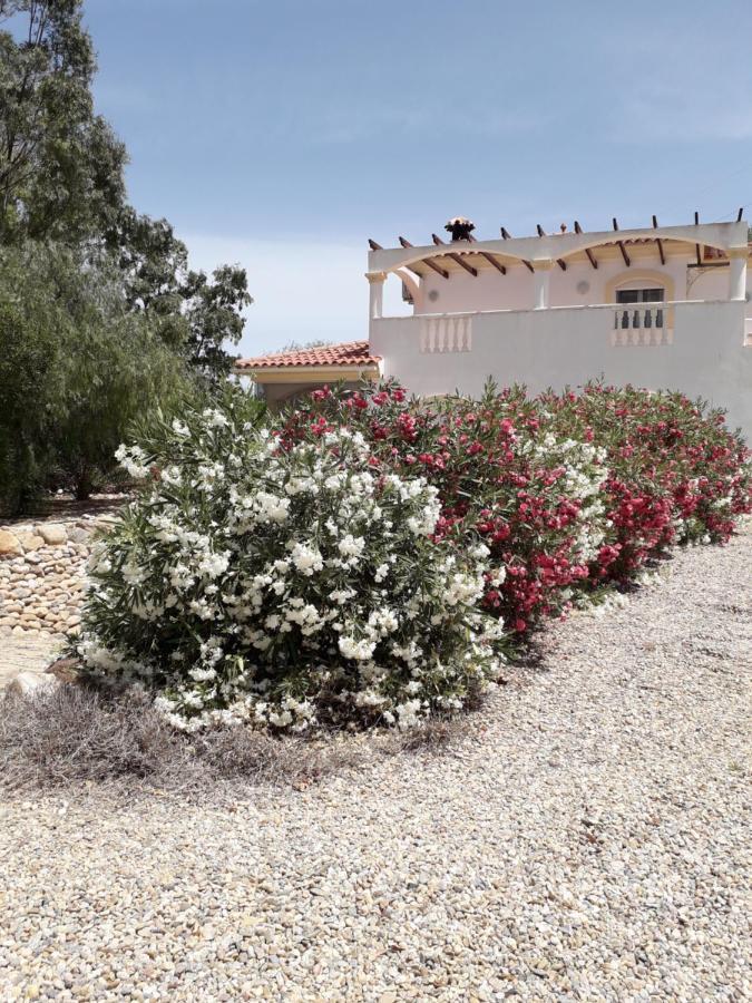 فيلا Casa Gregory تورري المظهر الخارجي الصورة